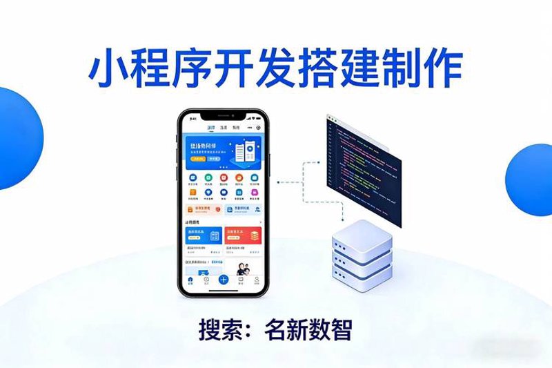 ERP系统定制