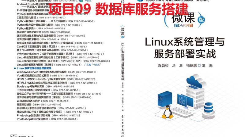 打造企业专属利器:定制化管理系统的威力